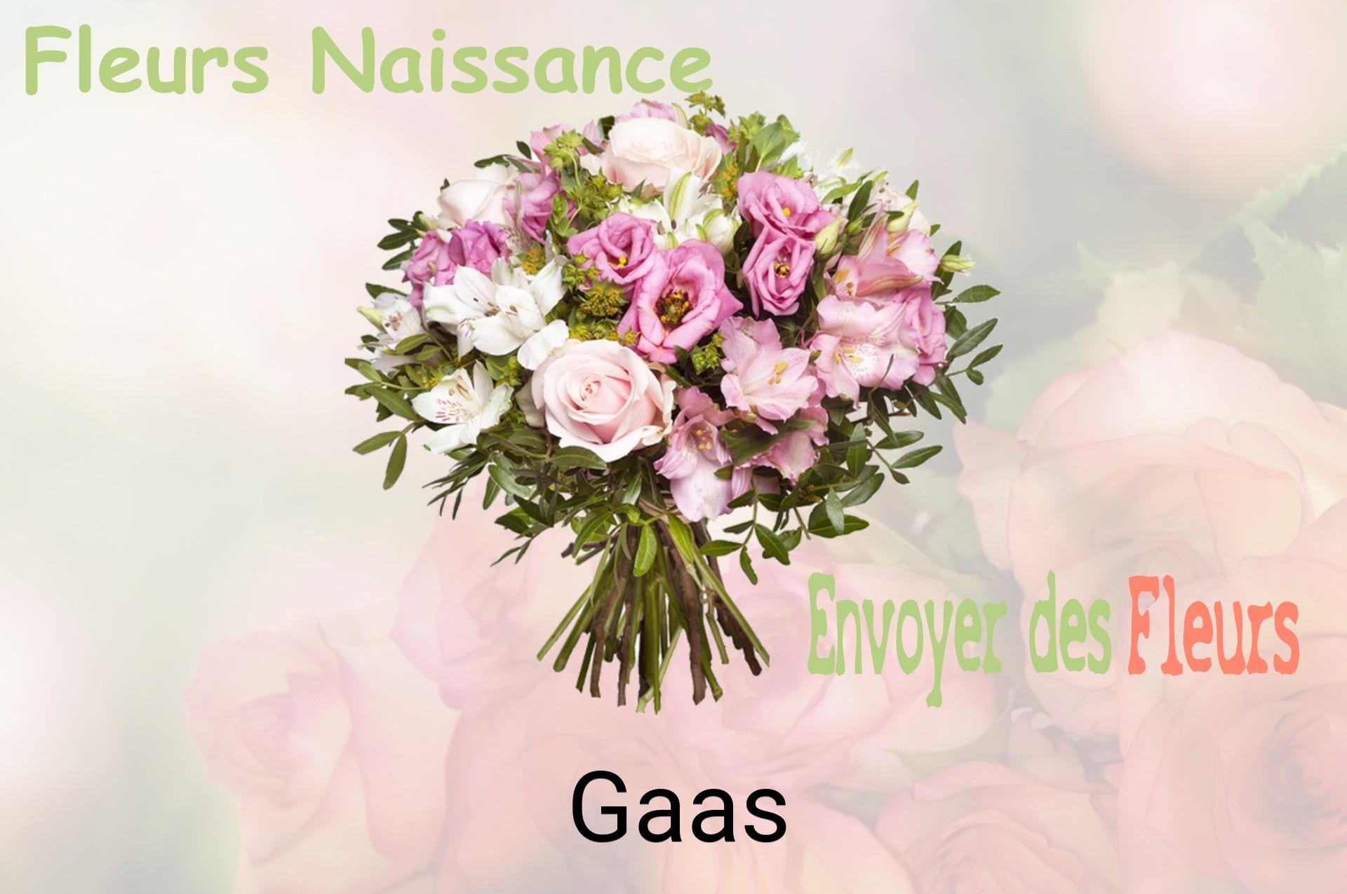 Bouquet de fleurs de naissance livré à Gaas